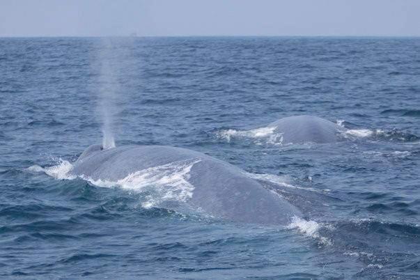 Thevindu Guest & Redmud Resturent Бандарамулла Экстерьер фото